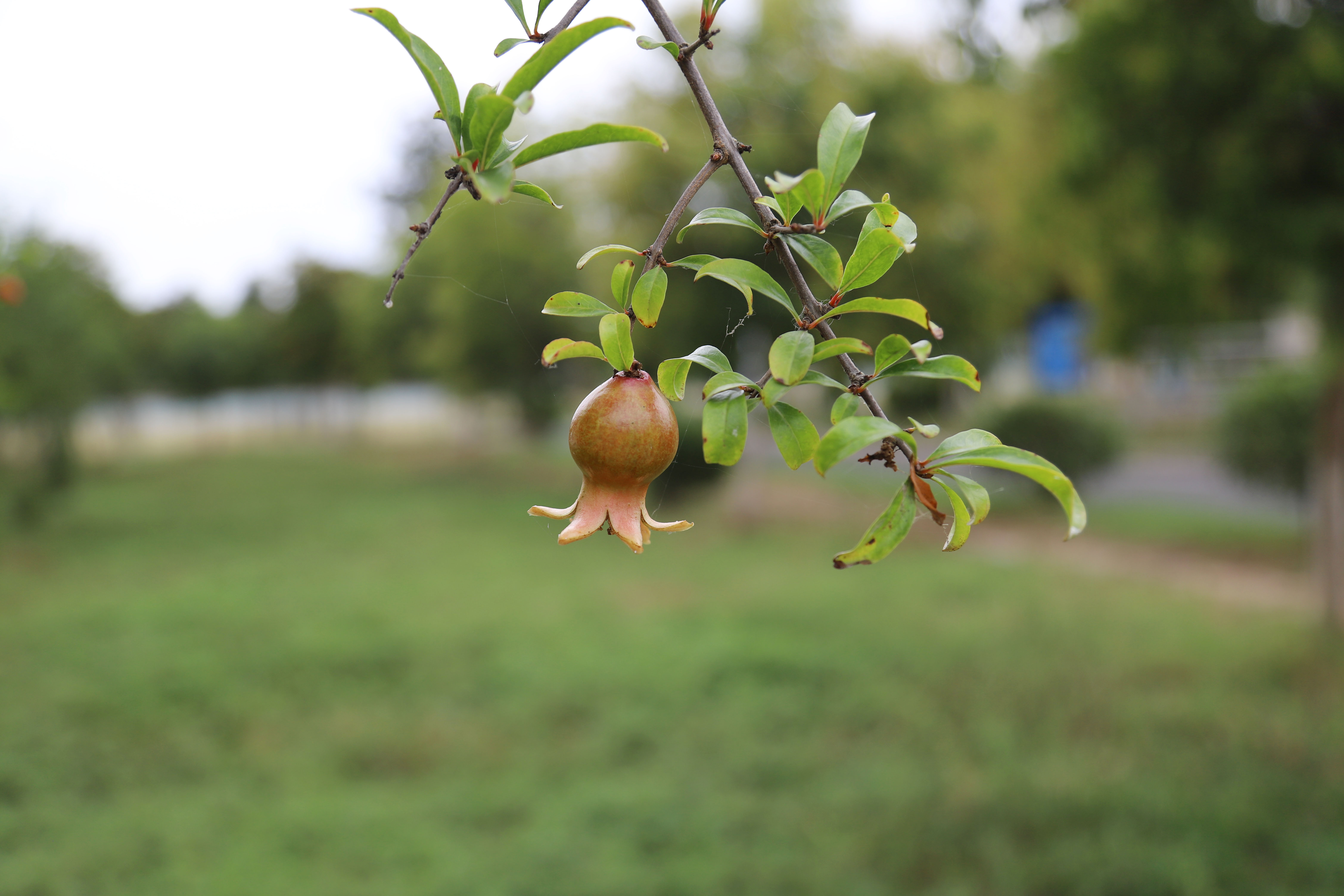 AG��˾(�й�����)�����޹�˾����